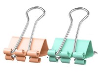 Agrafe de hârtie Erich Krause Pastel Bloom 19mm (56272) 10pcs