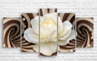 Pictură ArtDesign White rose 150x80cm (A-10278)