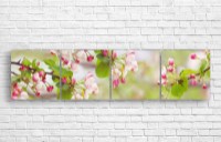 Pictură ArtDesign Apple tree in bloom 205x50cm (С-10289)