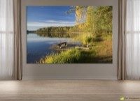 Pictură ArtDesign Autumn shore 45x68cm (FP-10012)