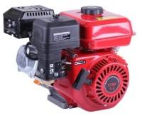 Двигатель бензиновый TATA DV-07-170F