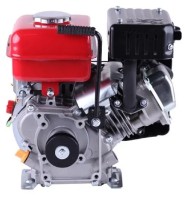 Motor pe benzina TATA DV-17-156F imaginea #6 — magazin online Desire.md