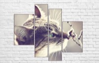 Pictură ArtDesign Beautiful cat 130х111cm (F-10081)