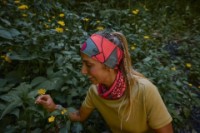 Повязка на голову Buff Coolnet UV Wide Aramay Poppy фото №2 — интернет-магазин Desire.md