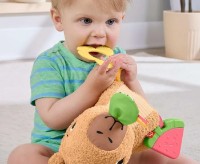 Мягкая игрушка Fisher Price Capybara (HYR54) фото №4 — интернет-магазин Desire.md