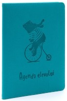 Дневник школьный Idee Light Blue (ID.1733)