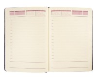 Ежедневник Idee А5 Premium Diplomat Blue (ID.1550) фото №3 — интернет-магазин Desire.md