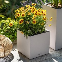 Ghiveci Lechuza Canto Slatestone 30 Low Light Grey imaginea #2 — magazin online Desire.md