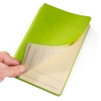 Ежедневник Idee А5 Premium Spring Green (ID.1549) фото №2 — интернет-магазин Desire.md