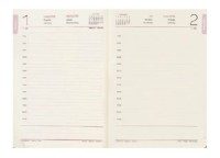 Ежедневник Idee А5 Standart Aesthetic Coral 2026 (ID.1506) фото №2 — интернет-магазин Desire.md