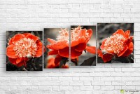 Картина ArtDesign Blooming poppies 160x90cm (C-10216)