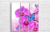Картина ArtDesign Blue butterfly on orchid 95x101cm (C-10091)