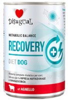 Hrană umedă pentru câini Disugual Recovery Diet Dog Lamb 400g