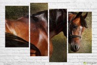 Картина ArtDesign Brown horse 150x103cm (F-10119)