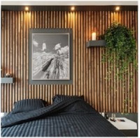 Lamelă decorativă Decolux AP-002-55 imaginea #2 — magazin online Desire.md