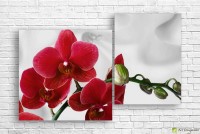 Pictură ArtDesign Burgundy Orchid 121x80cm (C-10224)