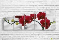 Pictură ArtDesign Burgundy Orchid 151x65cm (C-10223)