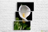 Pictură ArtDesign Callas 68х90cm (C-10028)