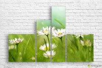 Pictură ArtDesign Chamomile field 135x89cm (C-10107)