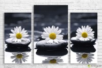 Картина ArtDesign Composition with daisies 127х84cm (C-10029)