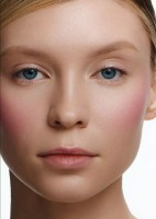 Румяна для лица Shik Crimson Delphinium фото №2 — интернет-магазин Desire.md