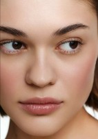 Румяна для лица Shik Crimson Rose Hip фото №2 — интернет-магазин Desire.md