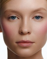 Румяна для лица Shik Crimson Lupine фото №3 — интернет-магазин Desire.md