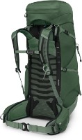 Рюкзак Osprey Talon 44 L/XL Green Canopy/Pine Leaf фото №2 — интернет-магазин Desire.md