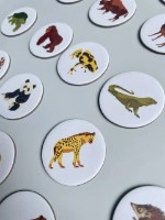 Joc educativ de masa Djeco Animo Mondo (DJ08198) imaginea #2 — magazin online Desire.md