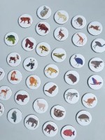 Joc educativ de masa Djeco Animo Mondo (DJ08198) imaginea #3 — magazin online Desire.md