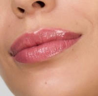 Luciu de buze Estee Lauder Pure Color Melt-On Glosstick 448 imaginea #3 — magazin online Desire.md