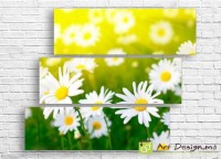 Pictură ArtDesign Field of daisies 115х94cm (C-10119)