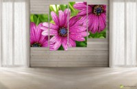 Картина ArtDesign Gerberas 130х86cm (C-10069)