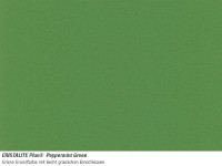 Chiuvetă de bucătărie Schock Nemo N-100S Sage imaginea #3 — magazin online Desire.md