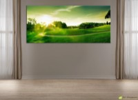 Картина ArtDesign Green field 40x90cm (FP-10009)