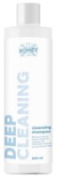 Шампунь для волос Ronney Deep Cleaning 300ml (00221)