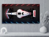 Pictură ArtDesign Haas F1 45x88cm (FT-10022)