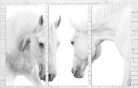 Картина ArtDesign Horses 150х101cm (F-10101)