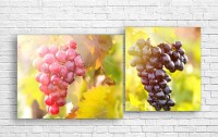 Pictură ArtDesign Juicy bunches of grapes 120x60cm (E-10149)