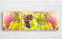 Pictură ArtDesign Juicy bunches of grapes 154x50cm (E-10150)