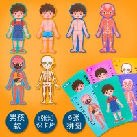 Puzzle ChiToys Body Structure (237-1455) imaginea #2 — magazin online Desire.md