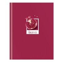 Блокнот Be Genius A5 80p Viva magenta (ББ5т80_лс 12118) фото №3 — интернет-магазин Desire.md