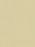 Рулонные шторы Delfa СРШ-01М-2875 52(48)/160cm фото №3 — интернет-магазин Desire.md