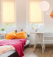 Рулонные шторы Delfa СРШ-03-2070 160/160cm фото №3 — интернет-магазин Desire.md