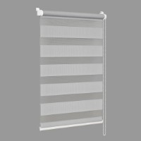 Рулонные шторы Delfa СРШ-40605 34x160cm фото №2 — интернет-магазин Desire.md