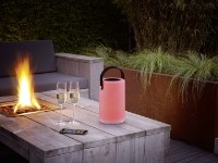 Настольная лампа Trio R54066101 фото №5 — интернет-магазин Desire.md