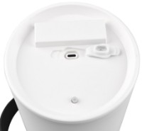 Настольная лампа Trio R54066101 фото №6 — интернет-магазин Desire.md