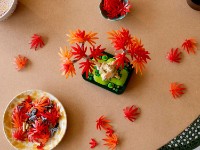 Set de construcție Lego Botanical Japanese Red Maple Bonsai Tree (10348) imaginea #2 — magazin online Desire.md