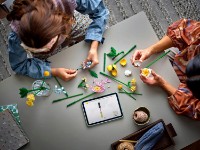 Set de construcție Lego Botanicals: Petite Sunny Bouquet (10347) imaginea #3 — magazin online Desire.md