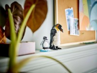 Set de construcție Lego Creator 3in1 Panda Family (31165) imaginea #8 — magazin online Desire.md